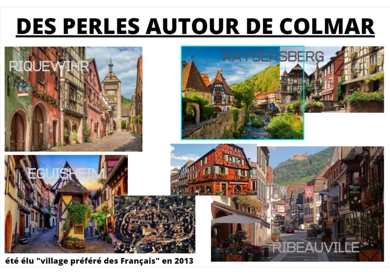 Thann Colmar - 1 Chambre - 5 Pers - Parking Exteriér fotografie
